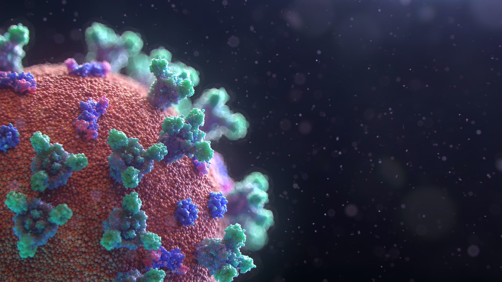 Visualization of the coronavirus causing COVID-19