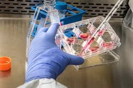 Laboratory